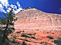 Checkerboard Mesa, Zion National Park, Utah