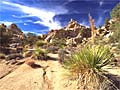 Hidden Valley at Joshua Tree National Park, California