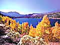 June Lake,  Eastern Sierras, Mammoth, California