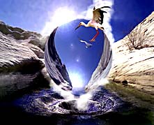 The Vortex